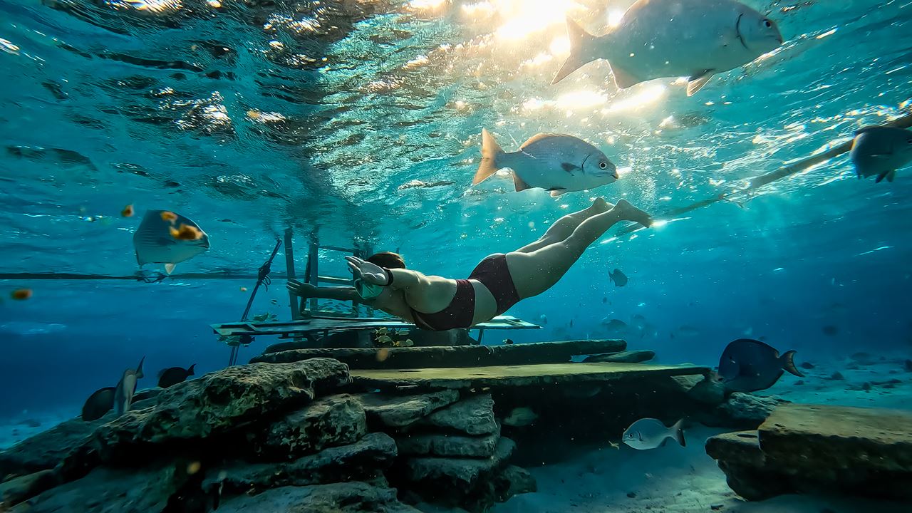 Amanecer En La Isla Del Acuario Con Snorkeling foto 6