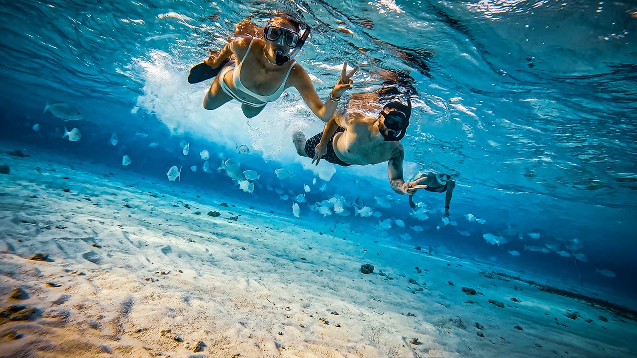 Amanecer En La Isla Del Acuario Con Snorkeling foto 4