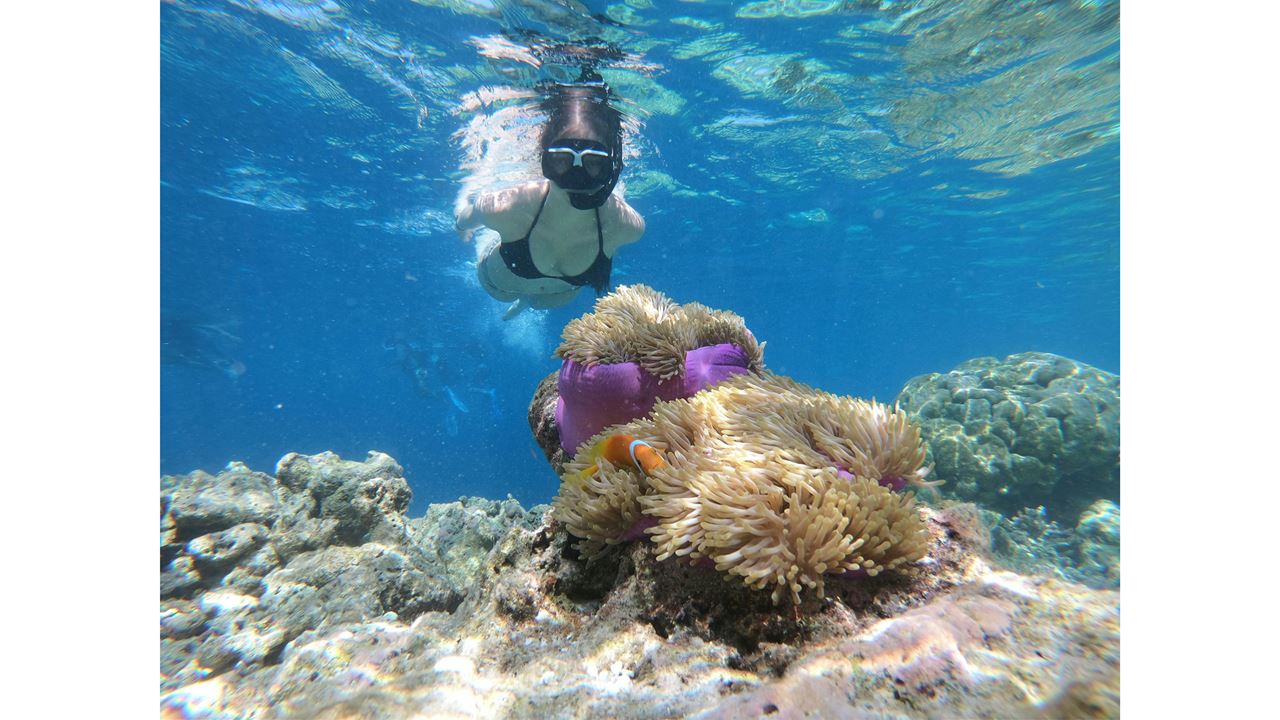 Nascer Do Sol Na Ilha E Ioga foto 5