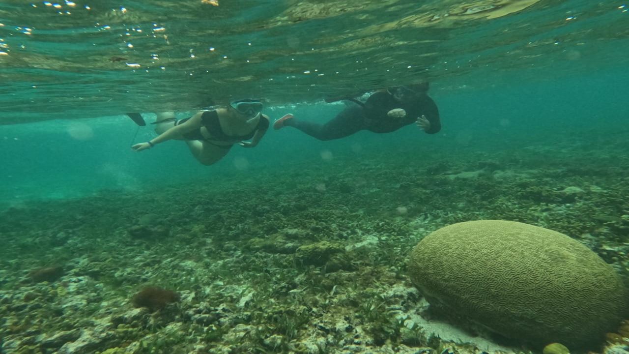 Pôr Do Sol Na Ilha Com Vela foto 5
