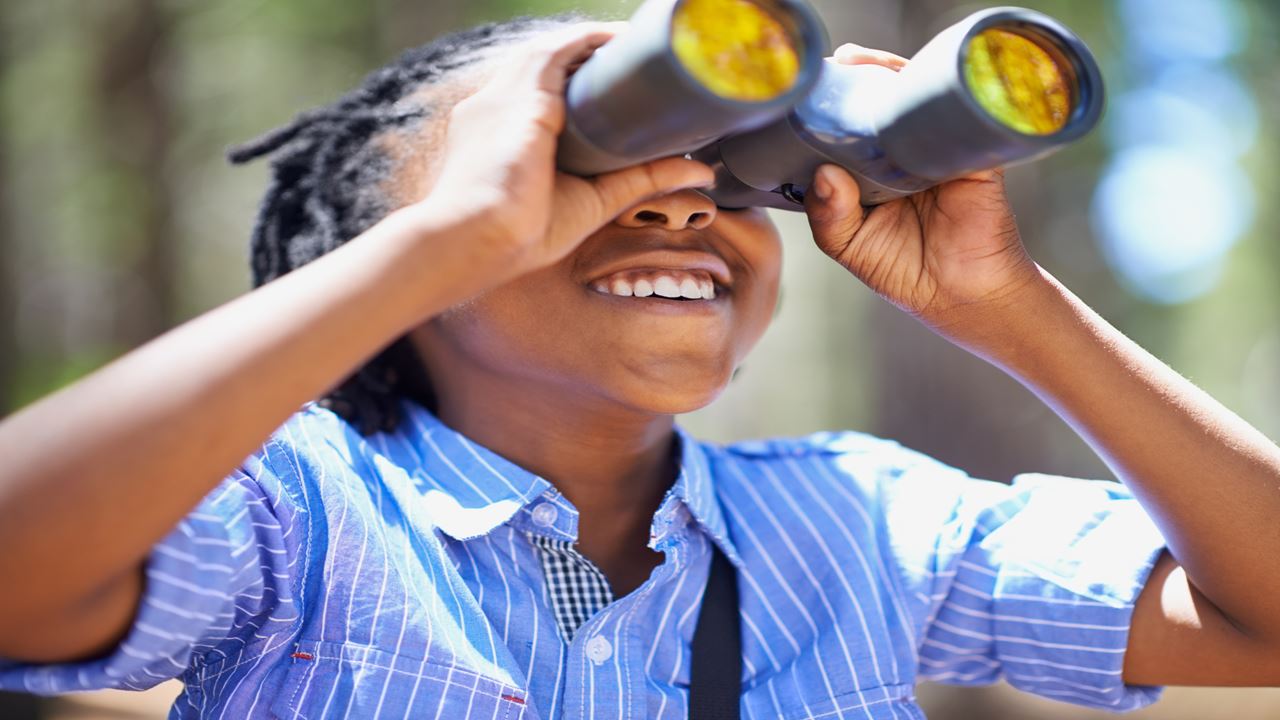 Avistamiento De Aves foto 7