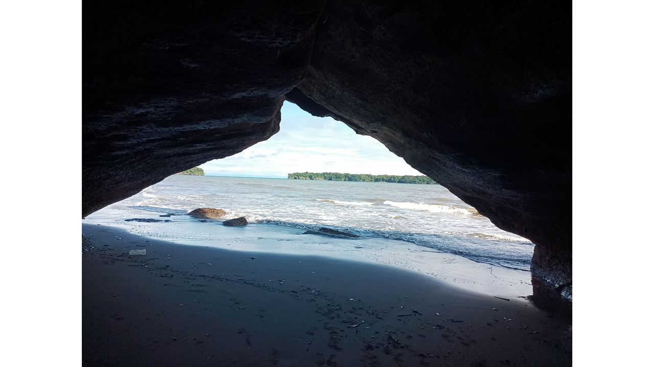 Whale Watching In Malaga Bay foto 4
