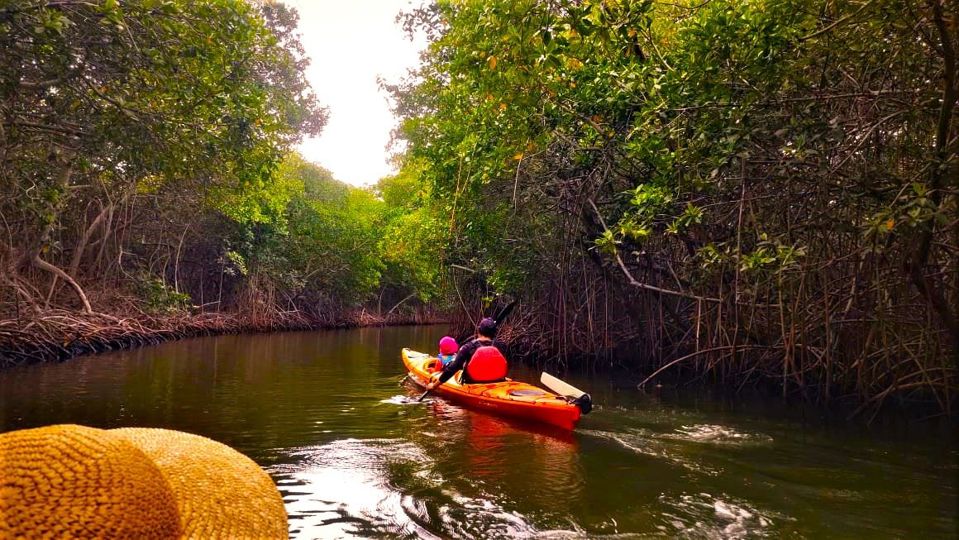 Barú By Kayak: An Immersion In Natural Beauty foto 3
