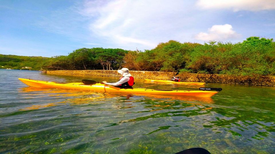 Barú By Kayak: An Immersion In Natural Beauty foto 5