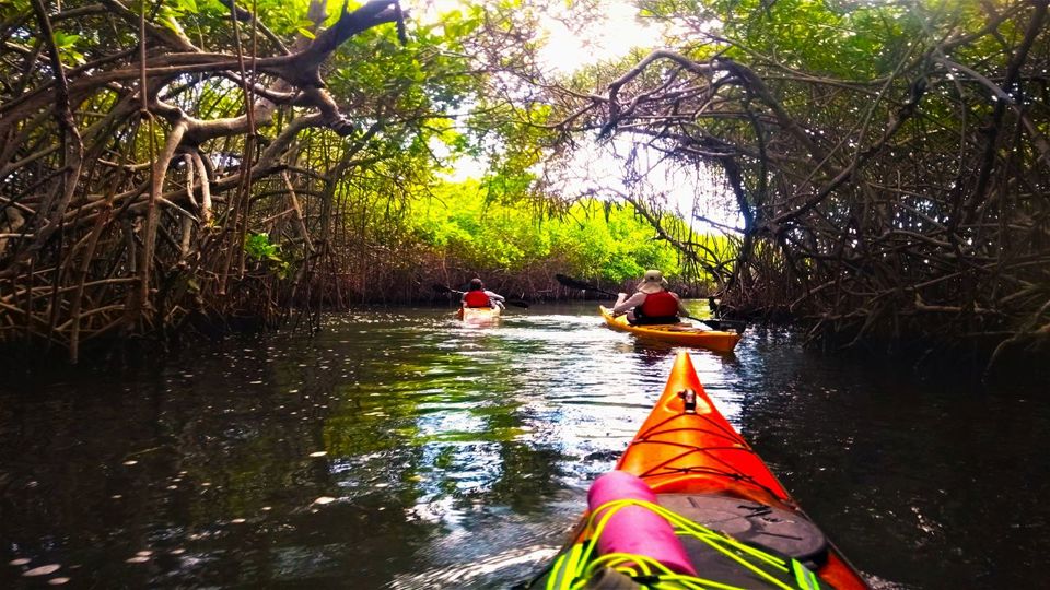 Barú By Kayak: An Immersion In Natural Beauty foto 4