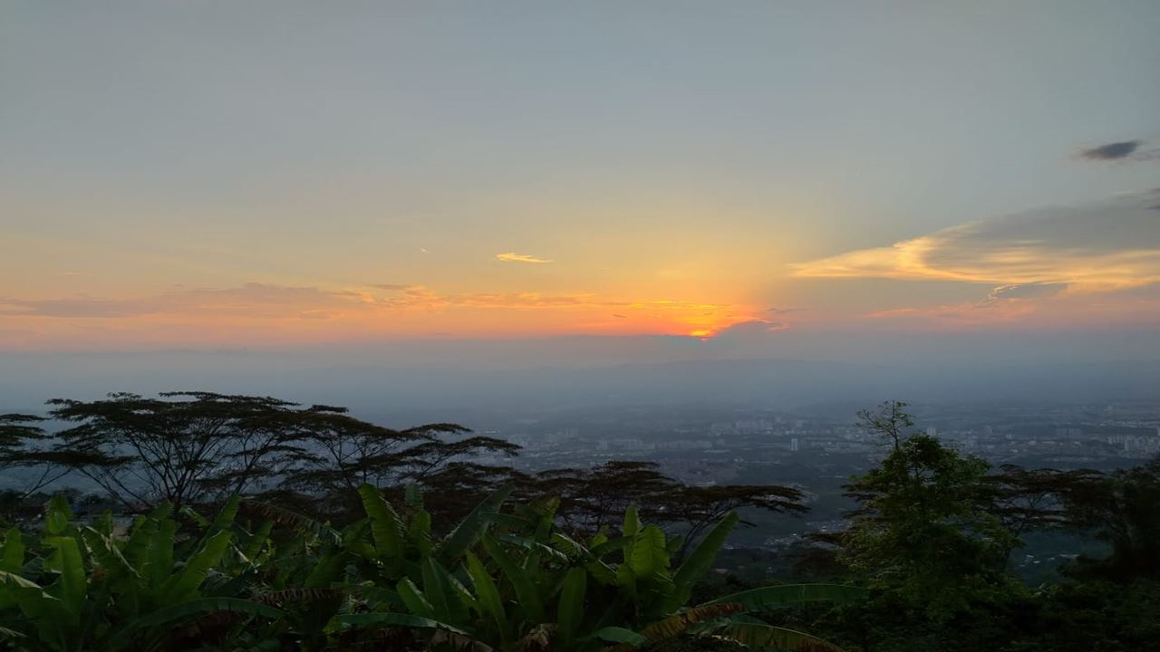 City Night Tour foto 2