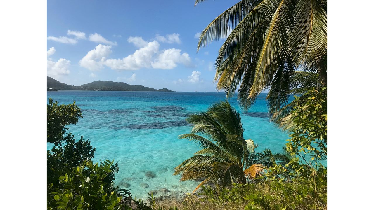 Passeio Pela Cidade foto 2