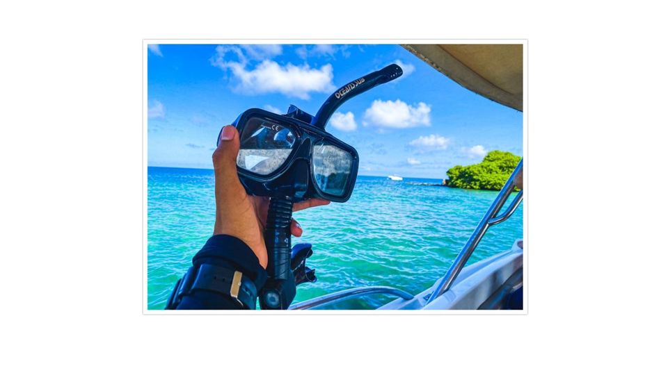 Day Tour 5 Islands - Rosario Islands foto 6