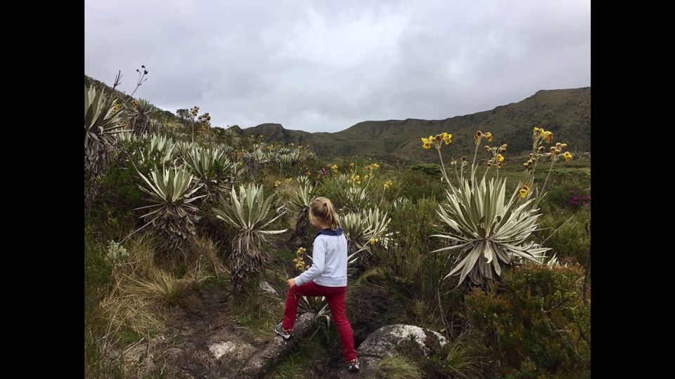 Ecotour To Chingaza National Park foto 1