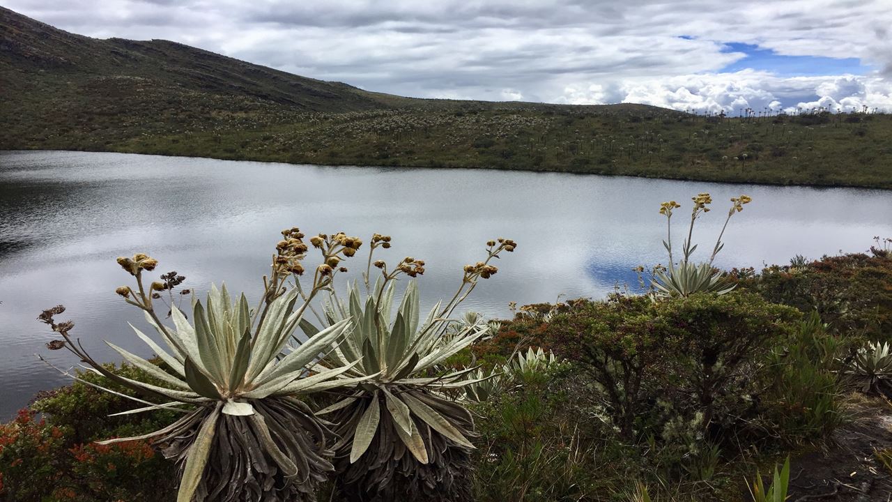 Ecotour To Chingaza National Park (1)