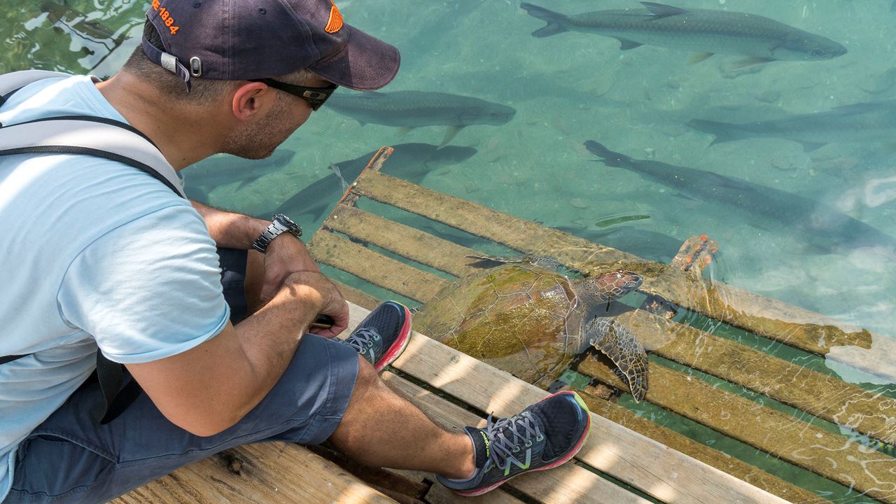 El Rodadero: Aquário E Playa Blanca foto 2