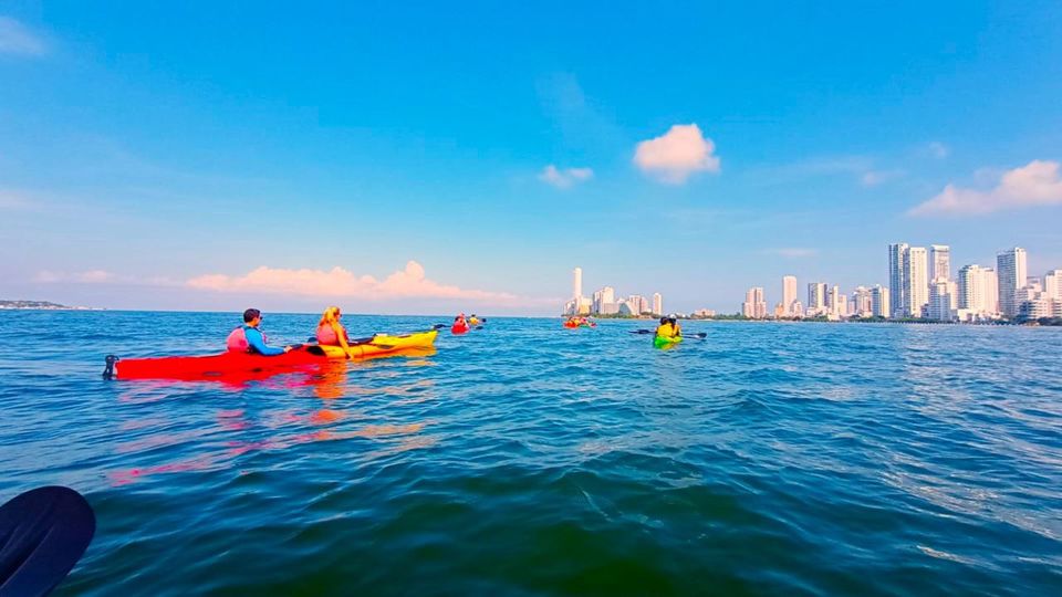 Excursión Punta Arena En Kayak foto 3