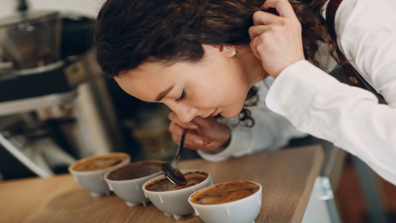 Coffee Experience In Santander foto 8