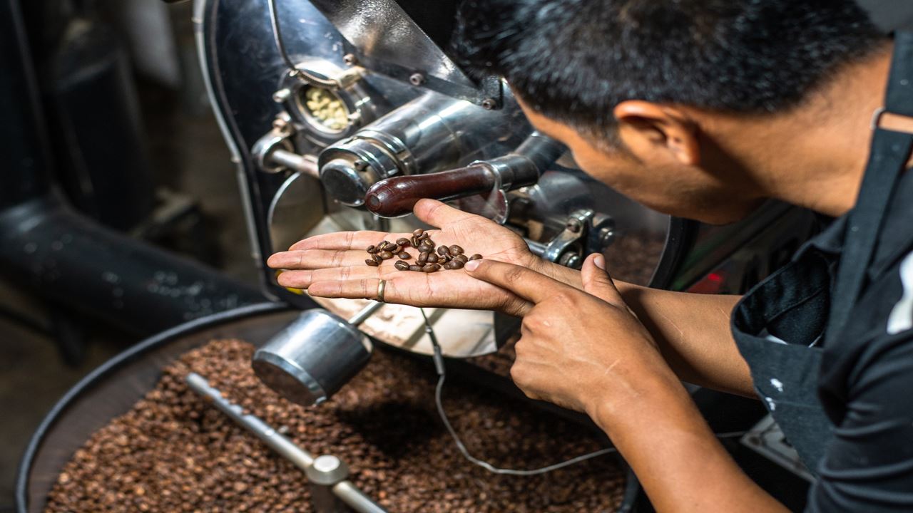 Coffee Experience In Santander foto 6