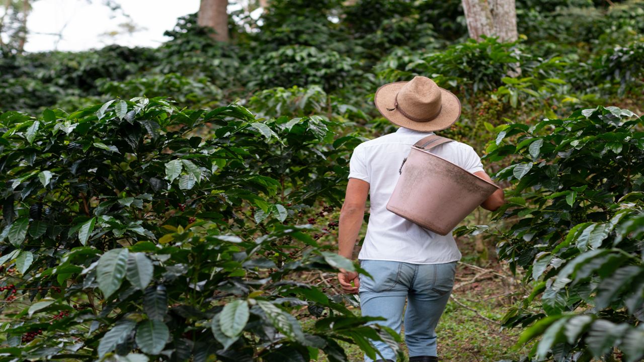 Coffee Experience In Santander foto 2