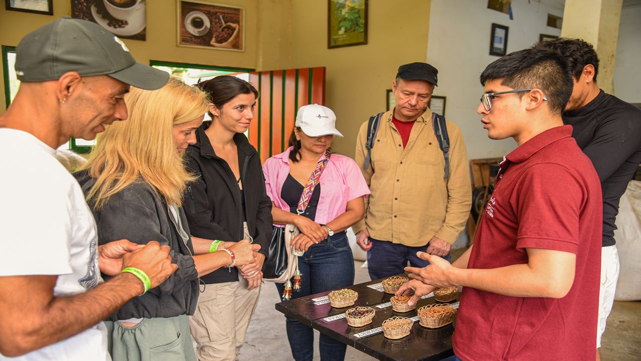 Finca El Ocaso: Tour Cafetero Con Jeep Willys, Cosecha Y Cata De Café
 foto 12