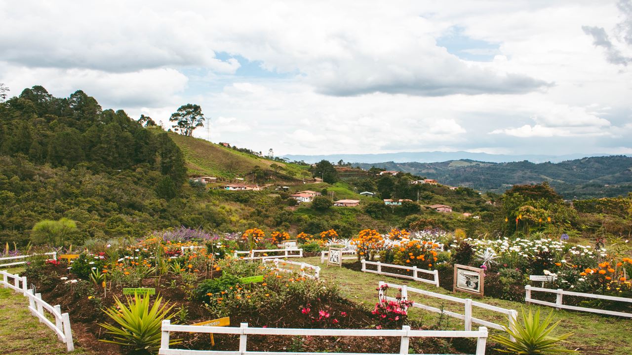 Floricultura E Tradição Silletera Em Santa Elena foto 3
