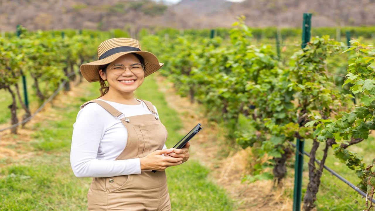 Hacienda Paraíso E A Rota Do Vinho foto 5
