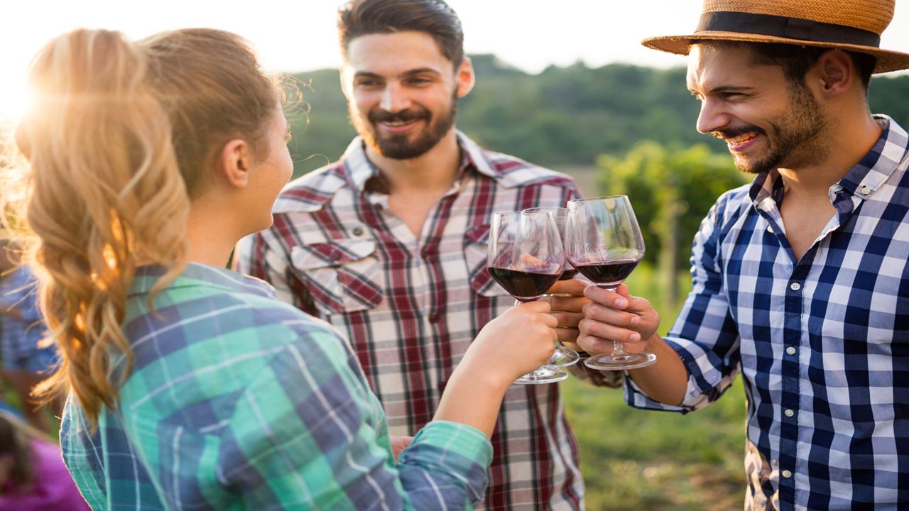 Hacienda Paraíso E A Rota Do Vinho foto 7