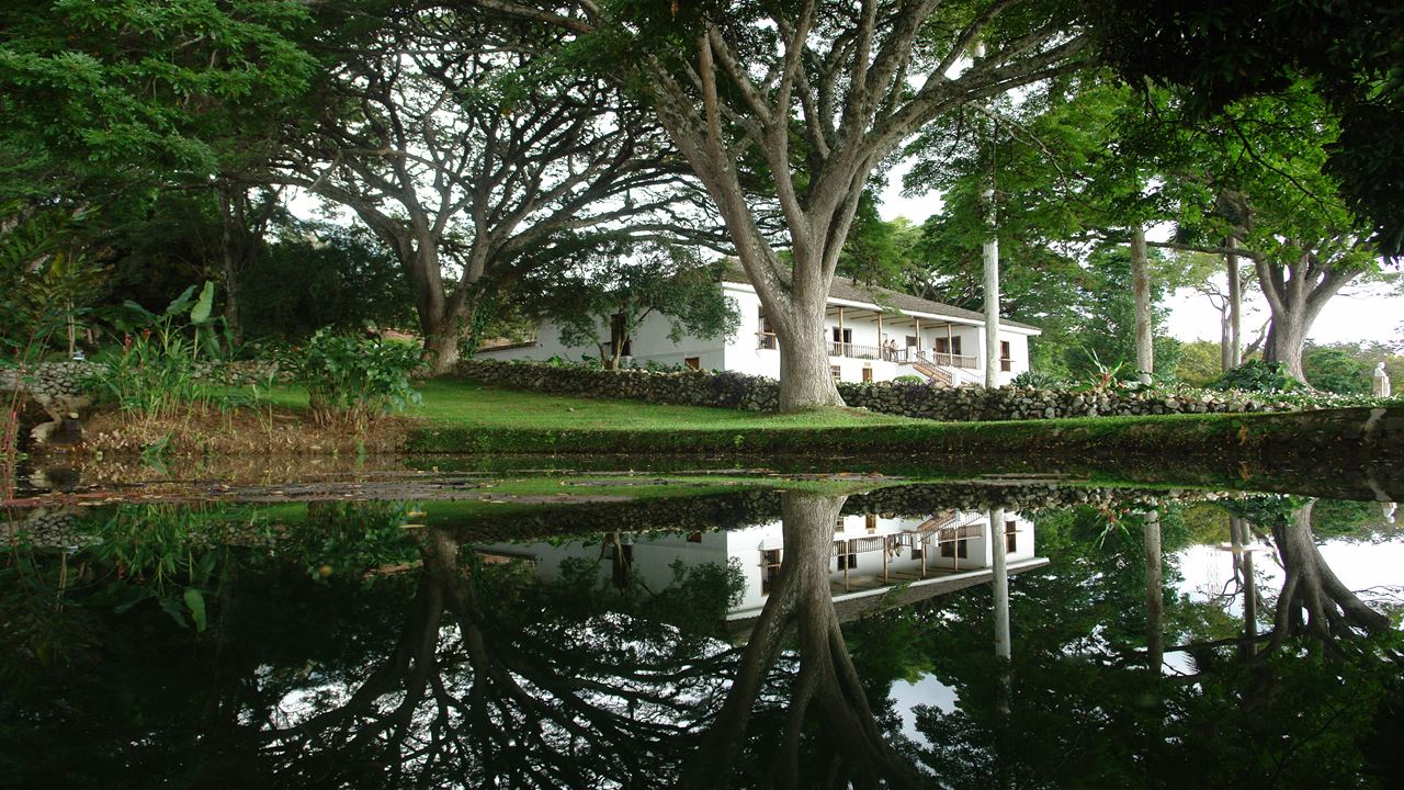 Walking Tour Through The Historic Center foto 2