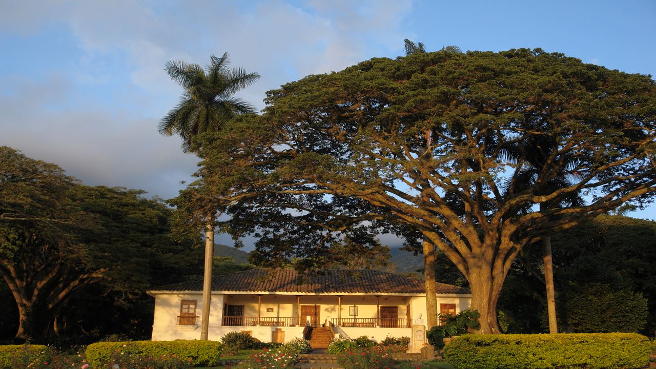 Walking Tour Through The Historic Center foto 4