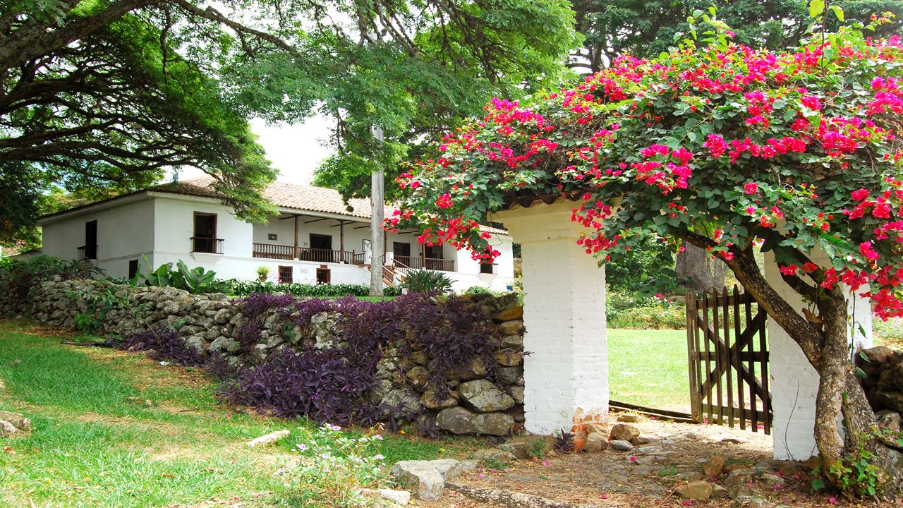 Walking Tour Through The Historic Center foto 5