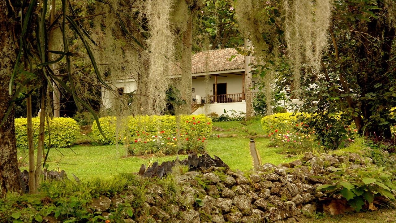 Walking Tour Through The Historic Center foto 8