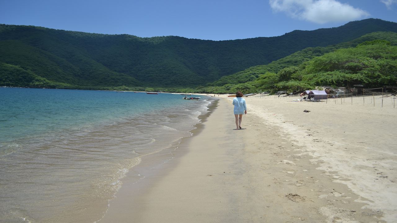 Parque Tayrona: Passeio À Bahía Concha foto 2