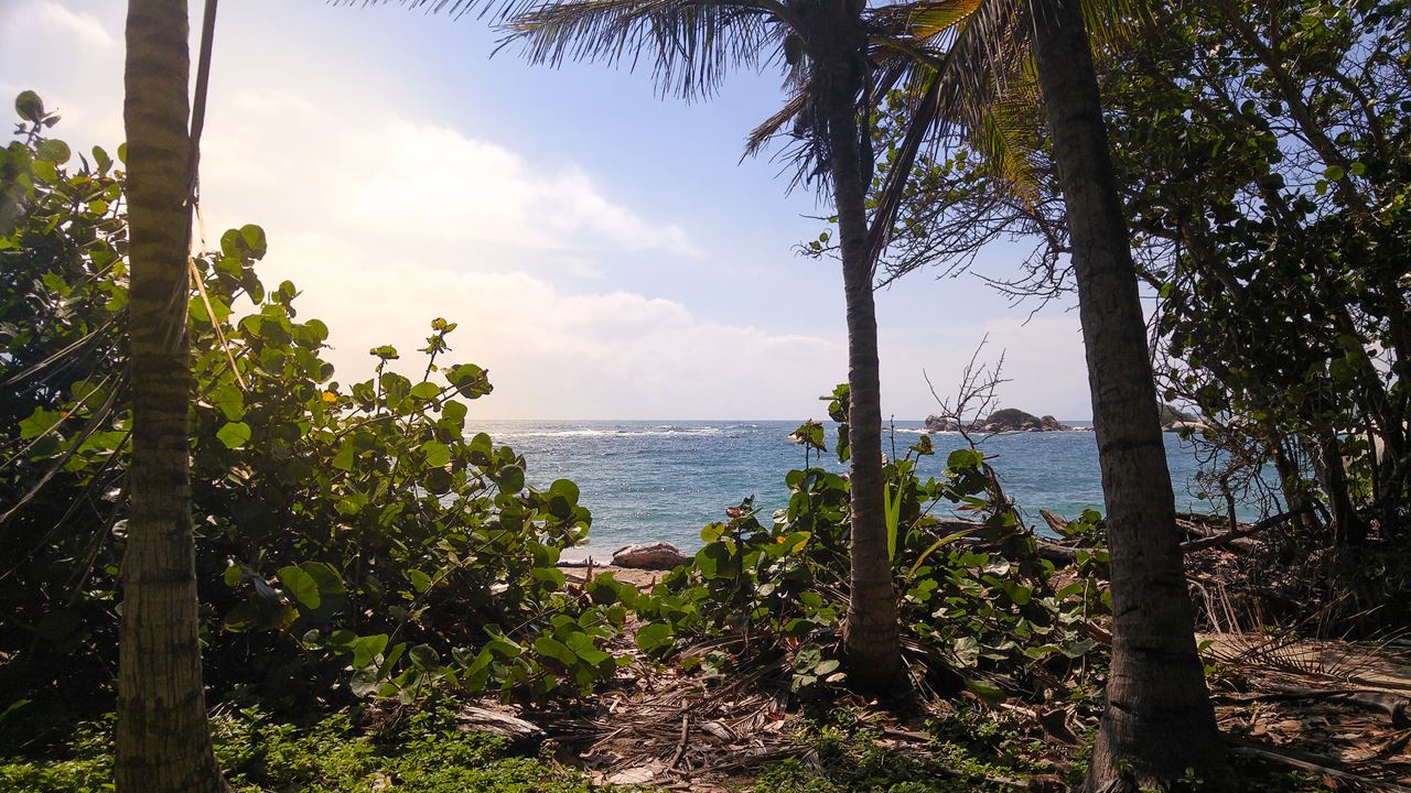 Parque Tayrona: Passeio Ao Cabo San Juan foto 4