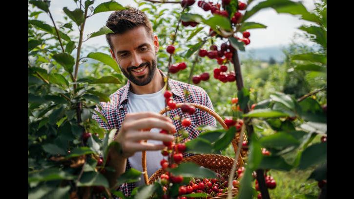Passeio De Café Tradicional foto 5