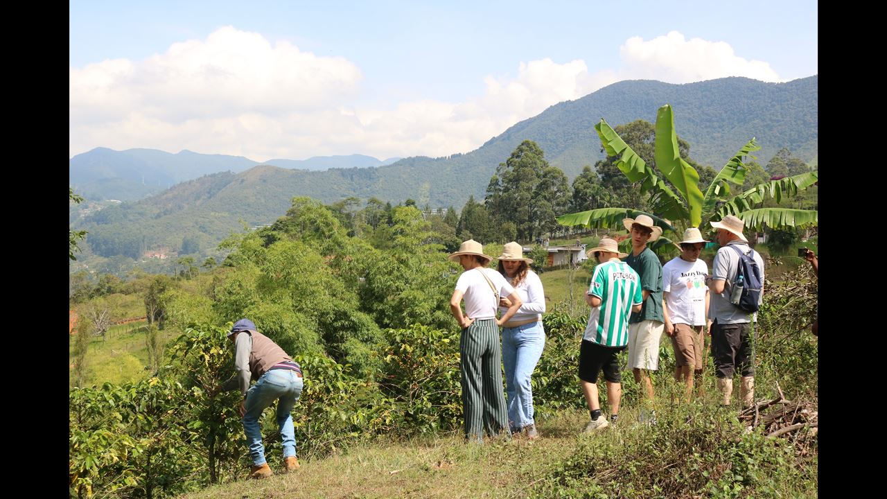 Passeio De Café Tradicional foto 2