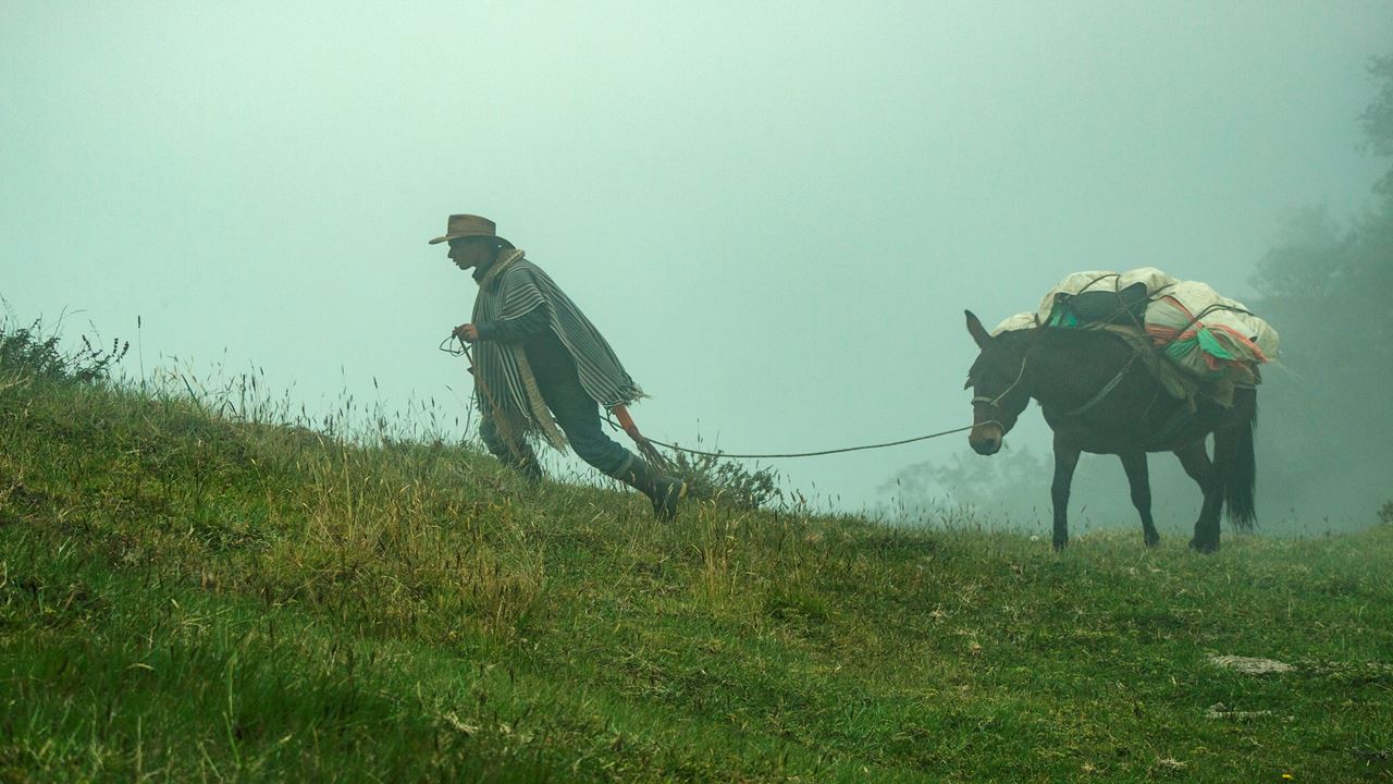 Recorrido De Un Día Al Santuario De La Flora Y Fauna Otún Quimbaya foto 2