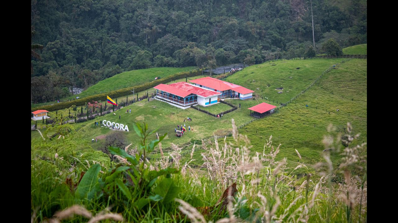 Senderismo En Valle De Cocora foto 3