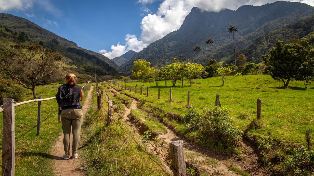 Senderismo En Valle De Cocora foto 5