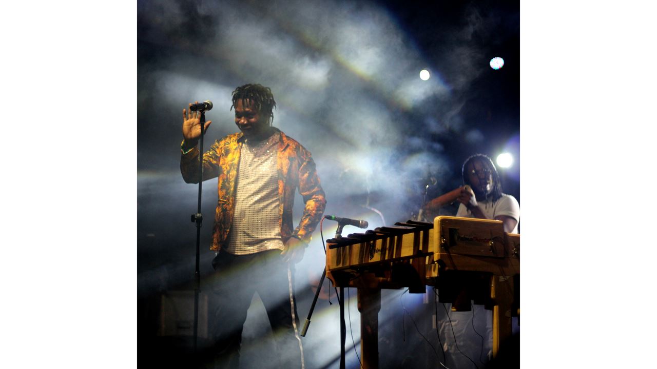 Show De Salsa foto 8