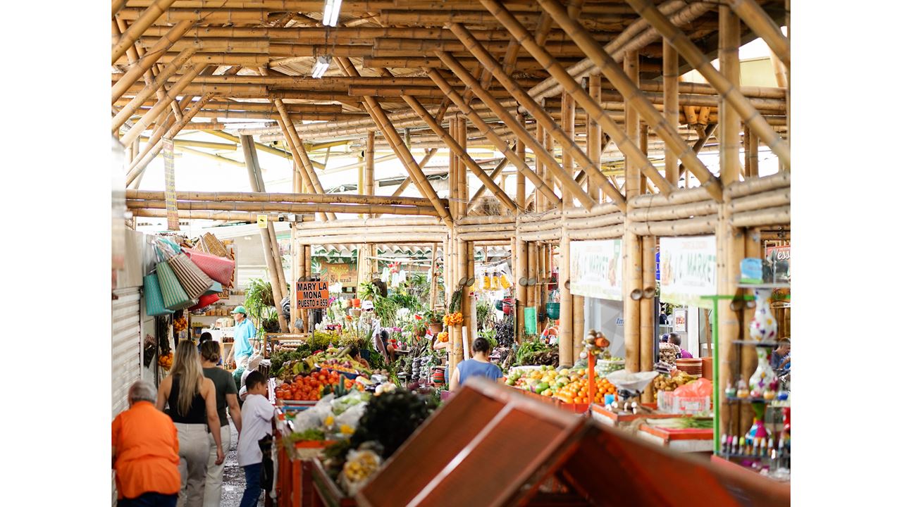 Gastronomic Tour foto 9