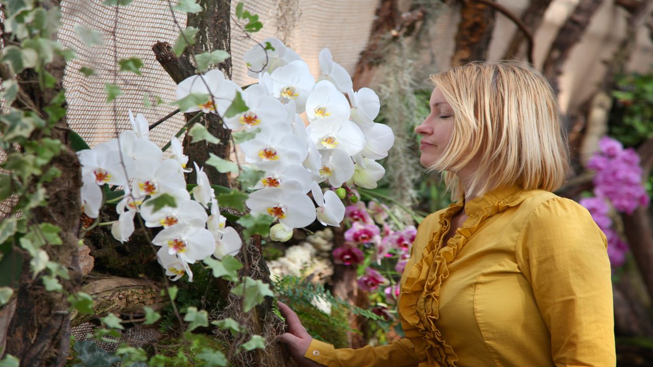 Flower Fair: Orchid And Nature Tour foto 1
