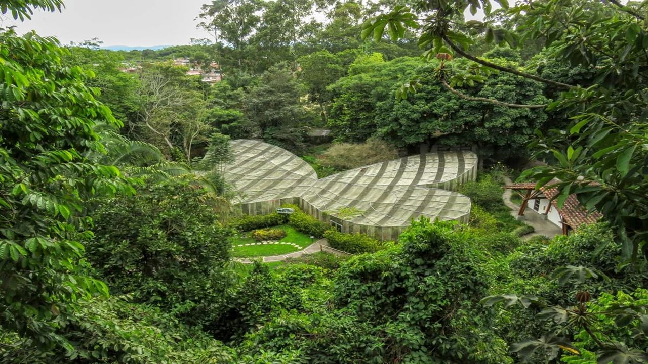 Visita Guiada Ao Jardim Botânico E Ao Jardim Das Borboletas De Quindío foto 1