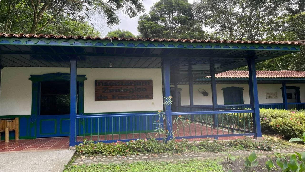 Visita Guiada Ao Jardim Botânico E Ao Jardim Das Borboletas De Quindío foto 7