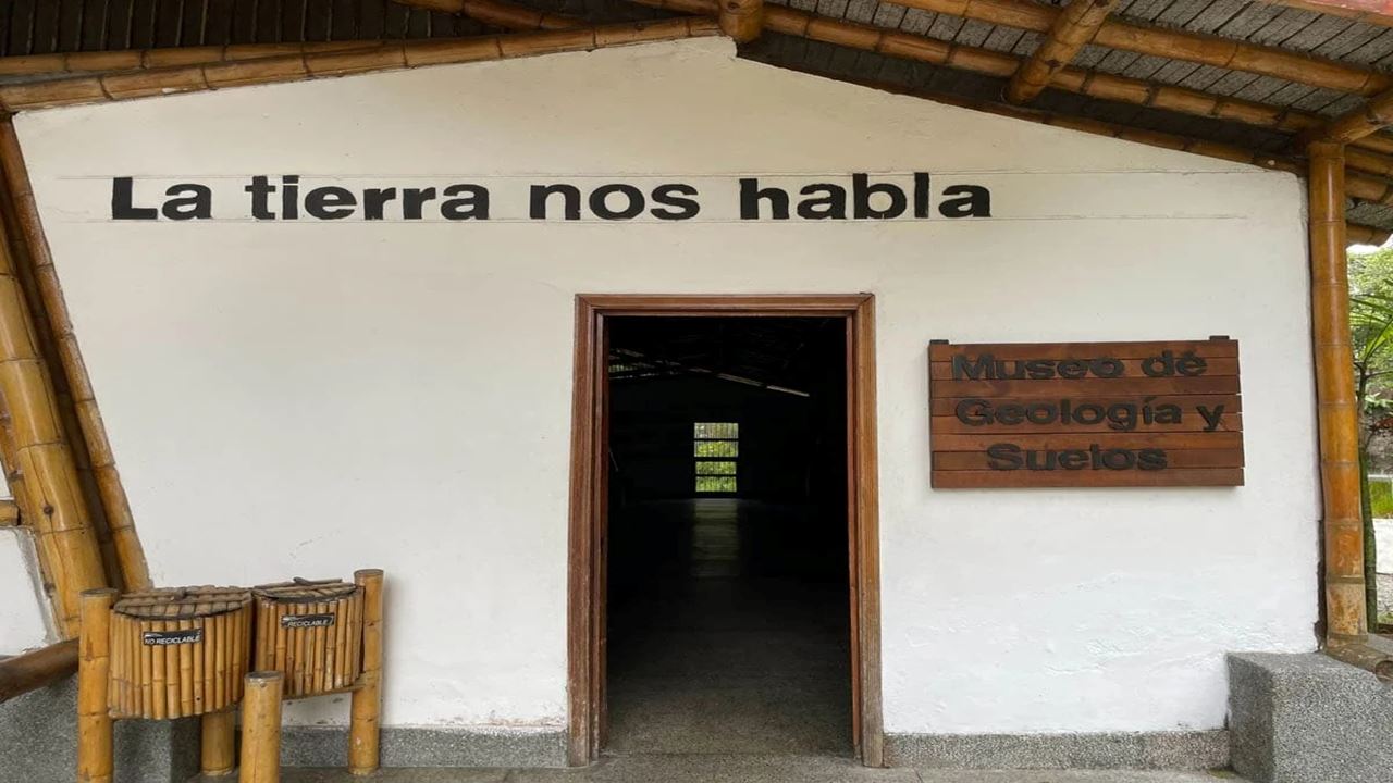 Visita Guiada Ao Jardim Botânico E Ao Jardim Das Borboletas De Quindío foto 9
