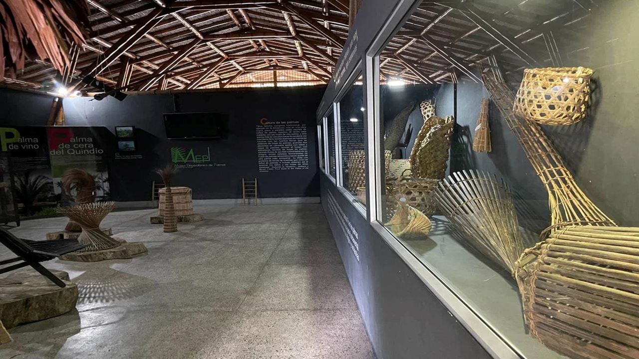 Visita Guiada Ao Jardim Botânico E Ao Jardim Das Borboletas De Quindío foto 8