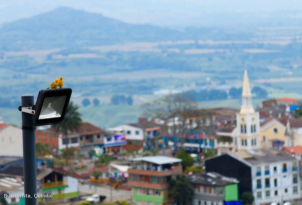 Passeio Pelos Povoados De Quindío: Córdoba, Pijao E Buenavista
 foto 2