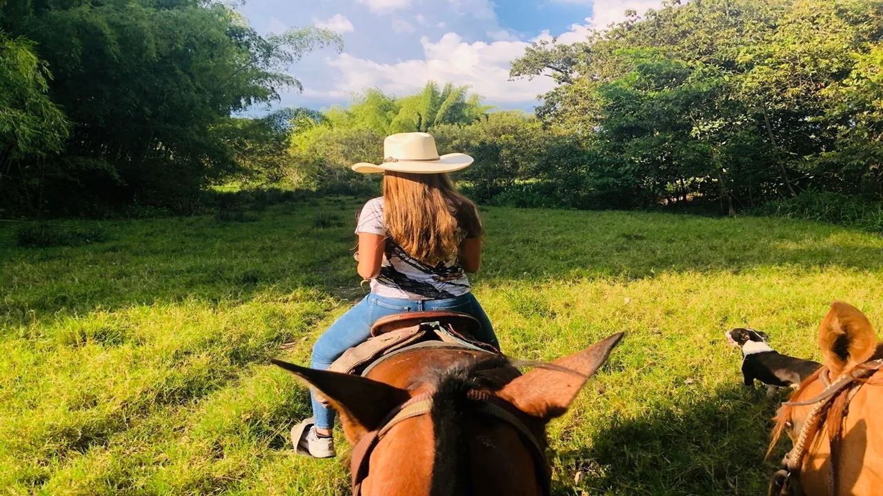 Horseback Riding Through The Coffee Landscape foto 1