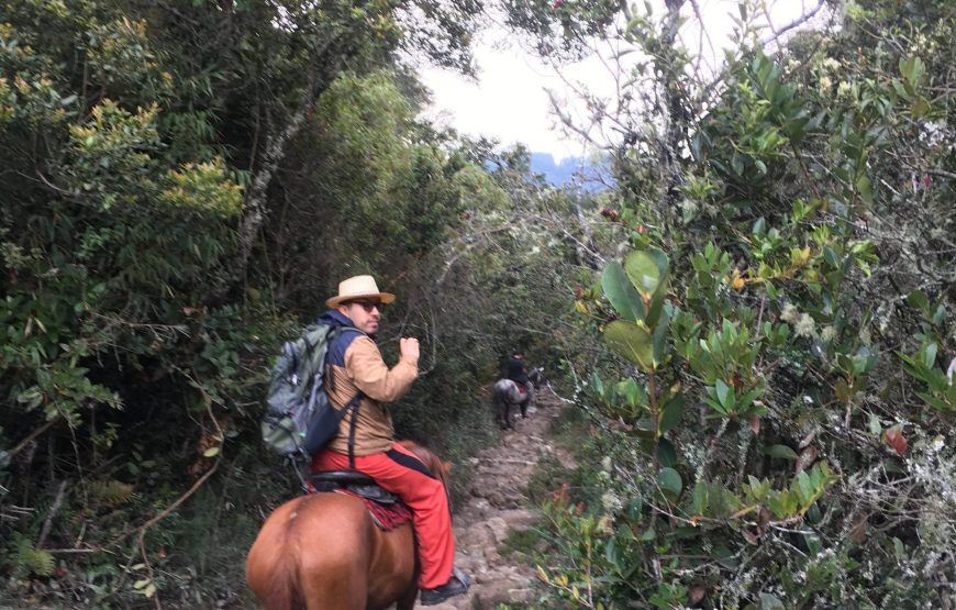 Tour A Caballo Por Los Cerros Orientales De Bogotá foto 6