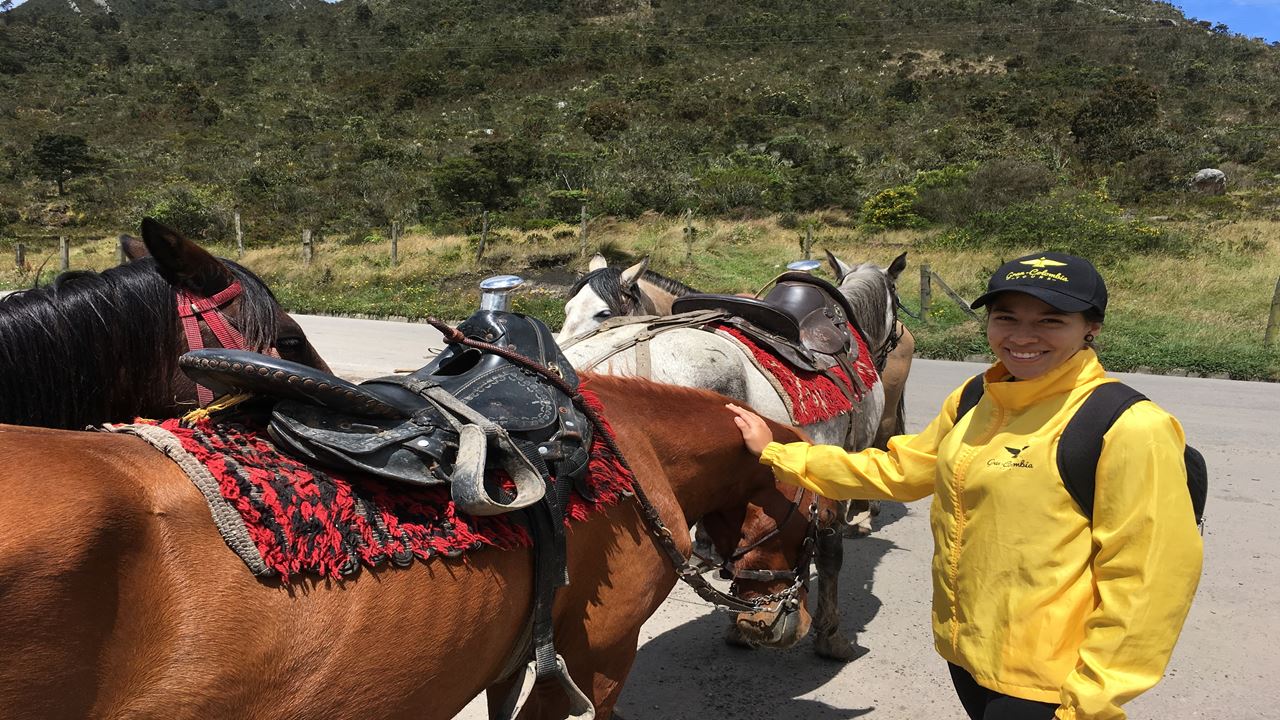 Tour A Caballo Por Los Cerros Orientales De Bogotá foto 1