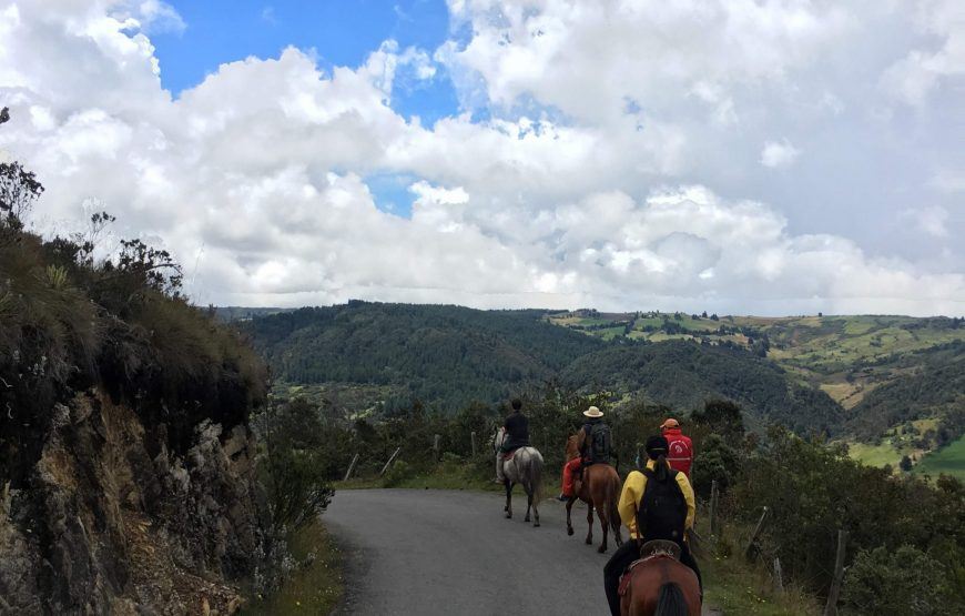 Tour A Caballo Por Los Cerros Orientales De Bogotá foto 3