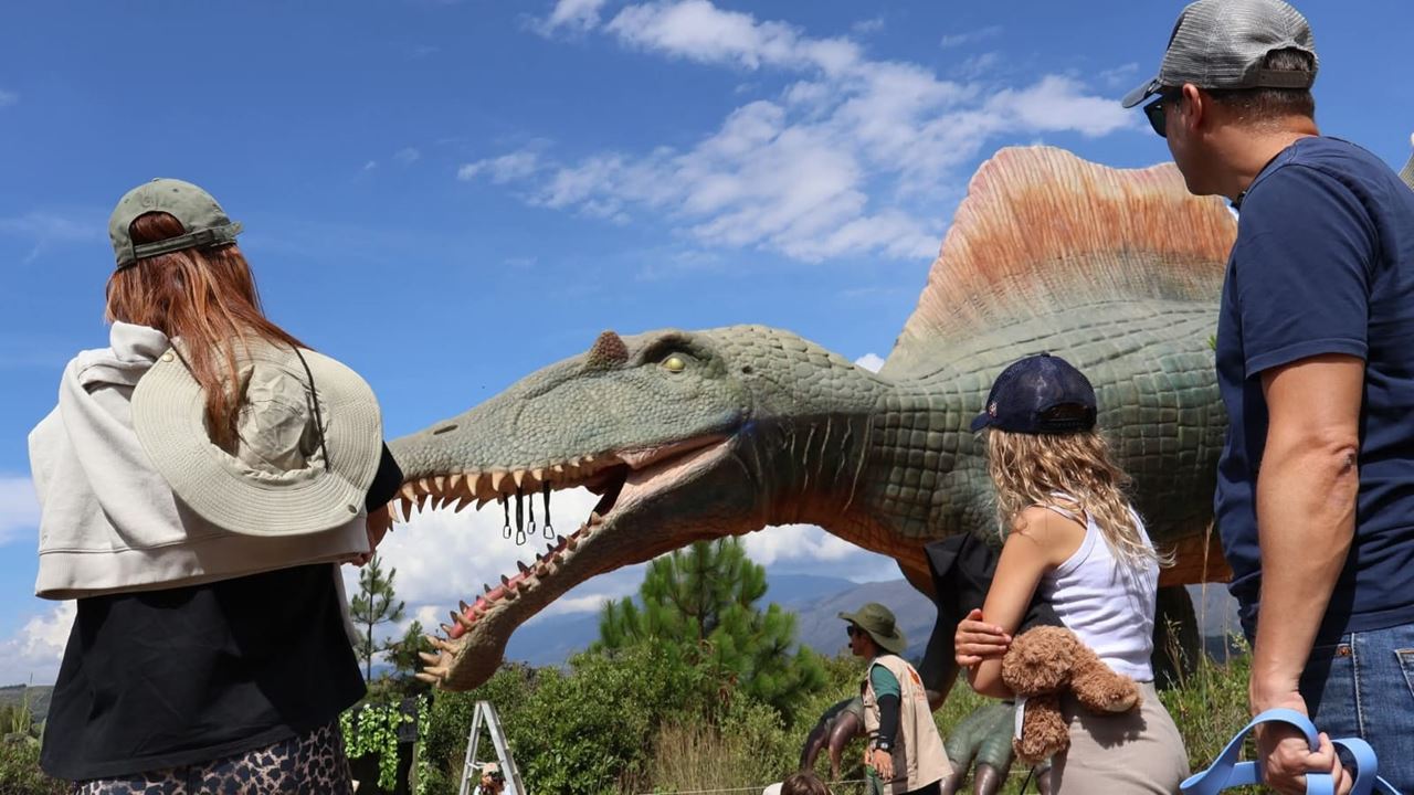Tour Zum Gondava Park Und Zur Straußenfarm foto 6