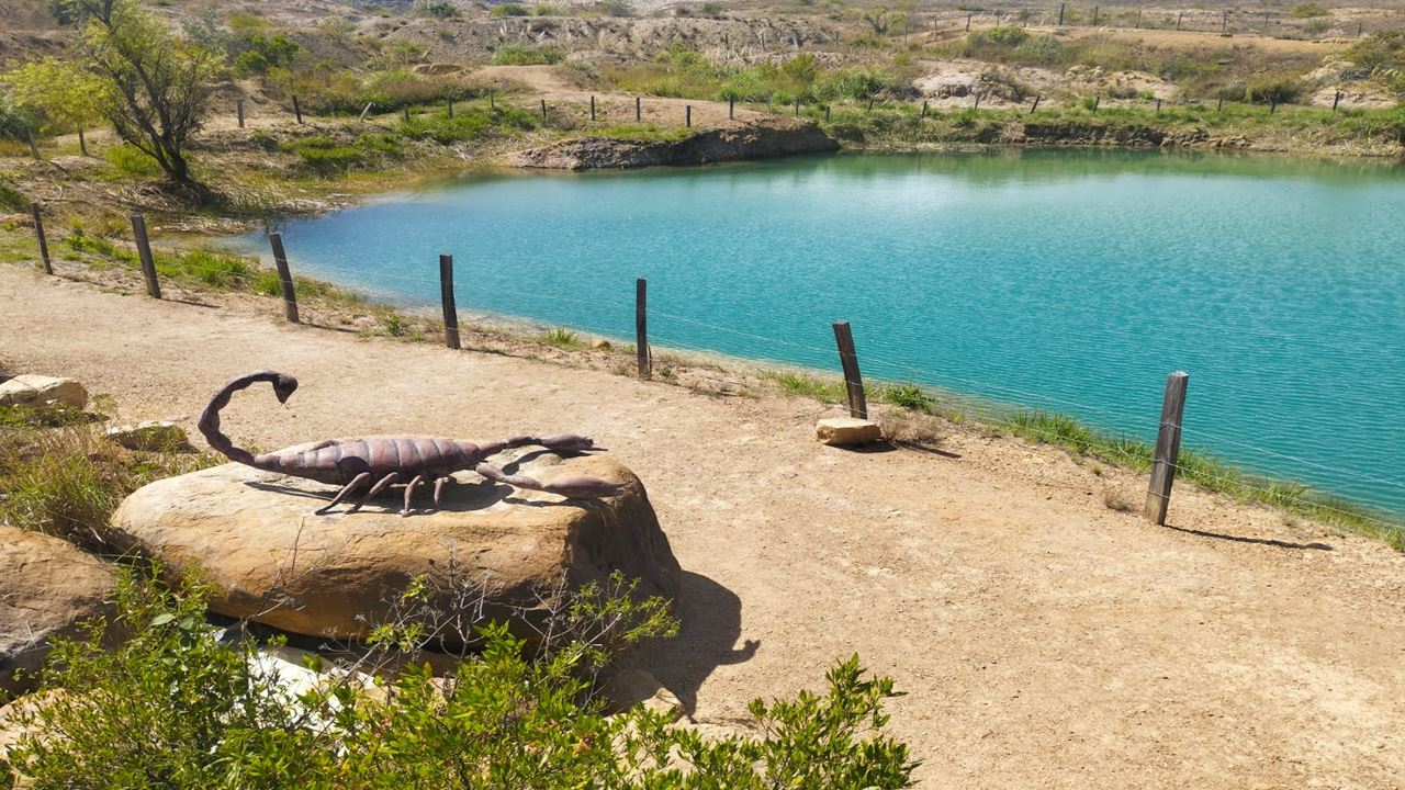 Tour Zum Gondava Park Und Zur Straußenfarm foto 2