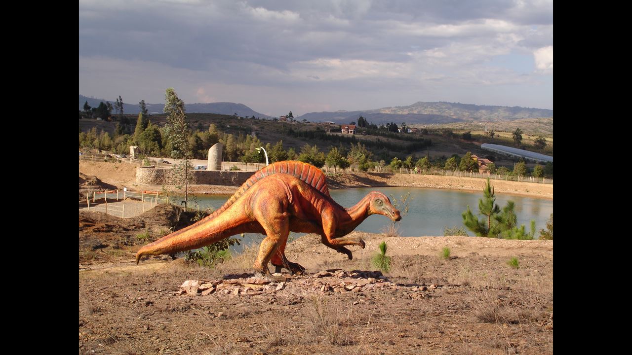 Tour Zum Gondava Park Und Zur Straußenfarm foto 3