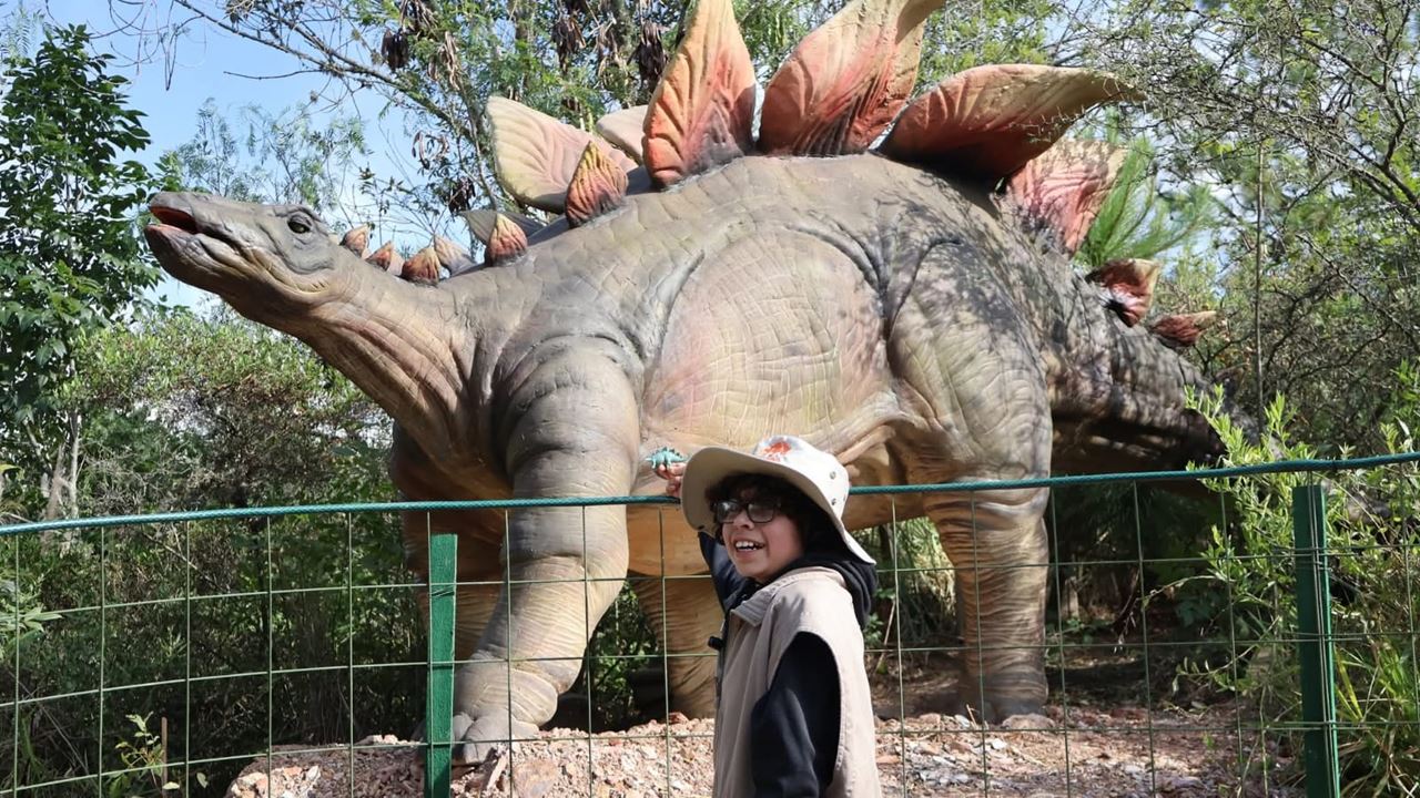 Tour Zum Gondava Park Und Zur Straußenfarm foto 5